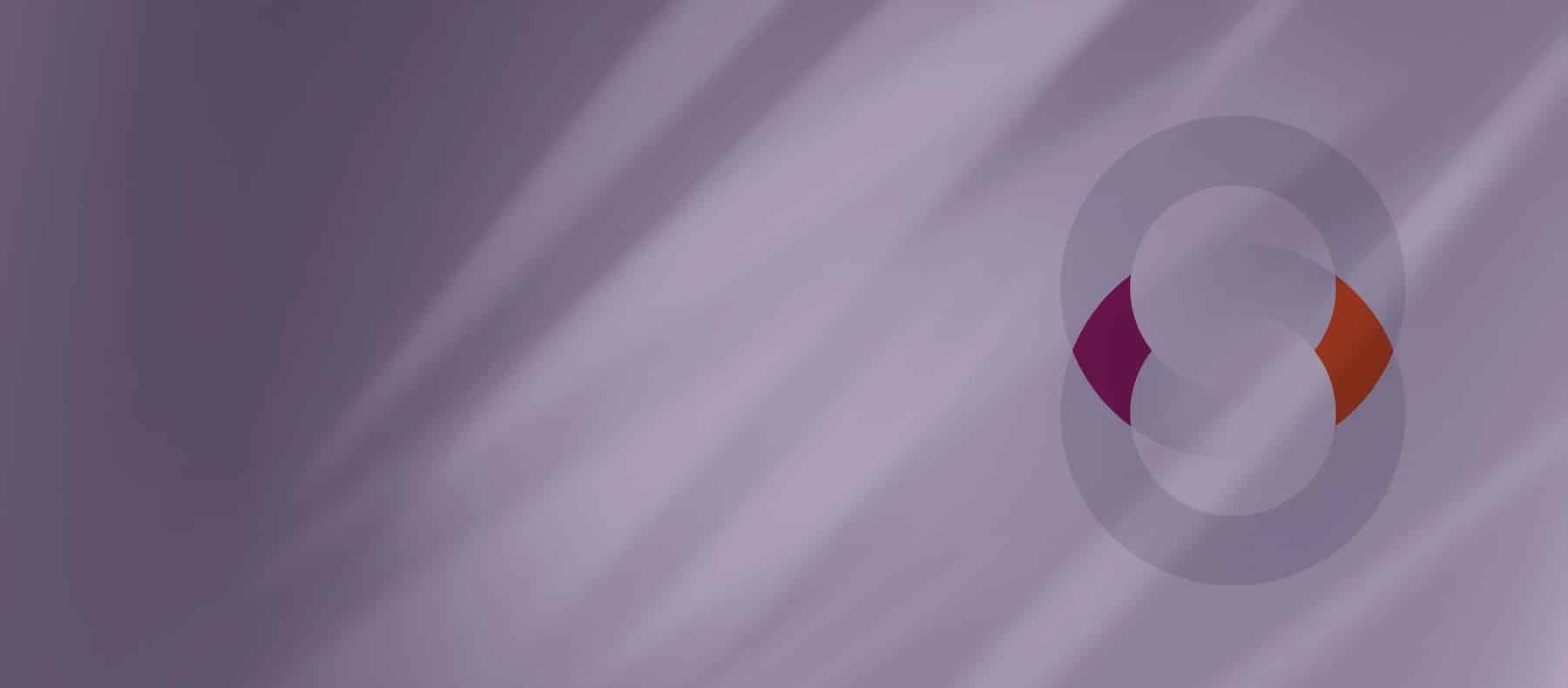 Robin Somerville | Unfair Prejudice Claims Derivative Actions